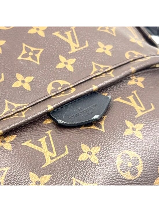 Louis Vuitton Palm Springs Backpack MM Monogram Leather Brown Gold main image 14